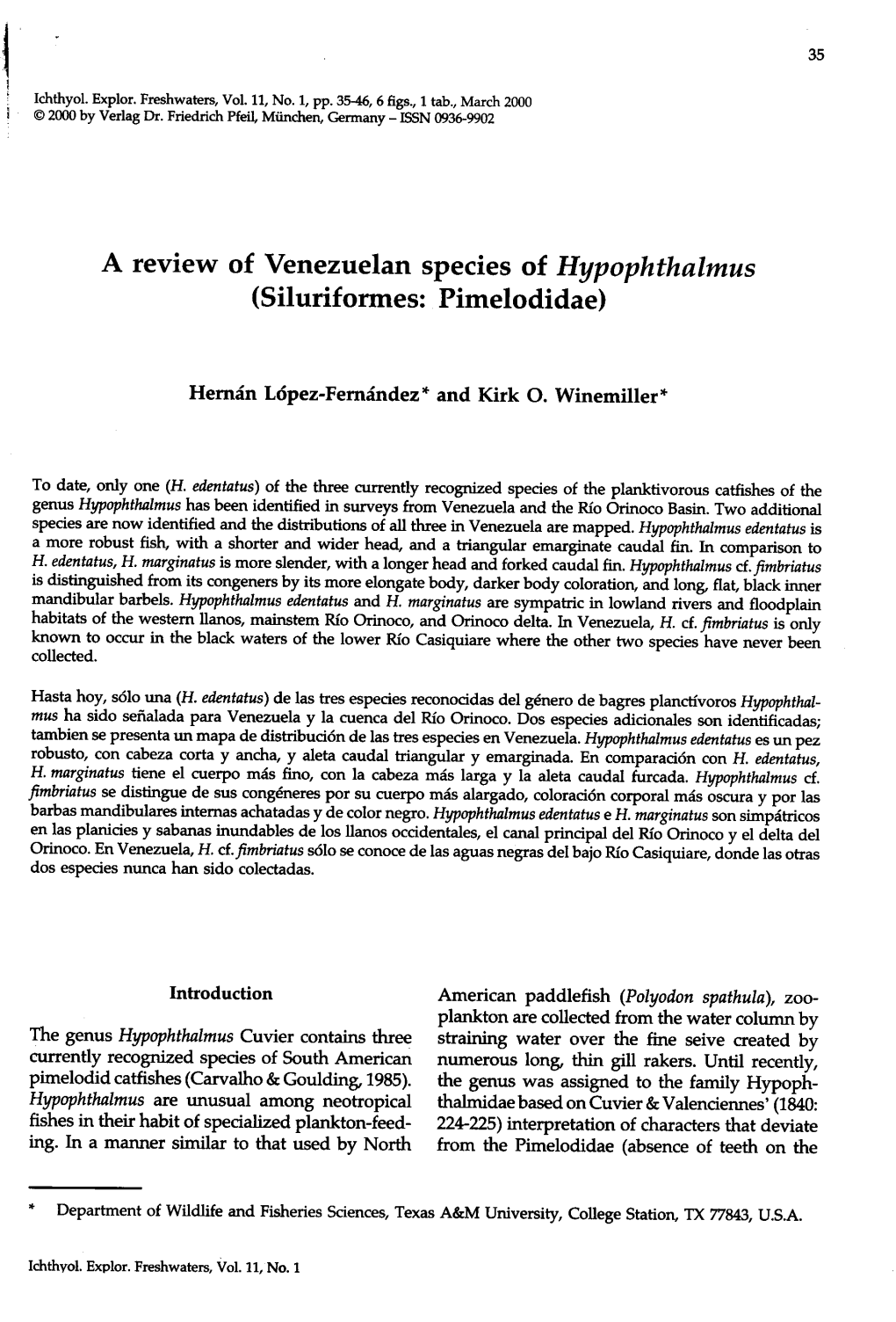 A Review of Venezuelan Species of Hypophthalmus (Siluriformes: Pimelodidae)