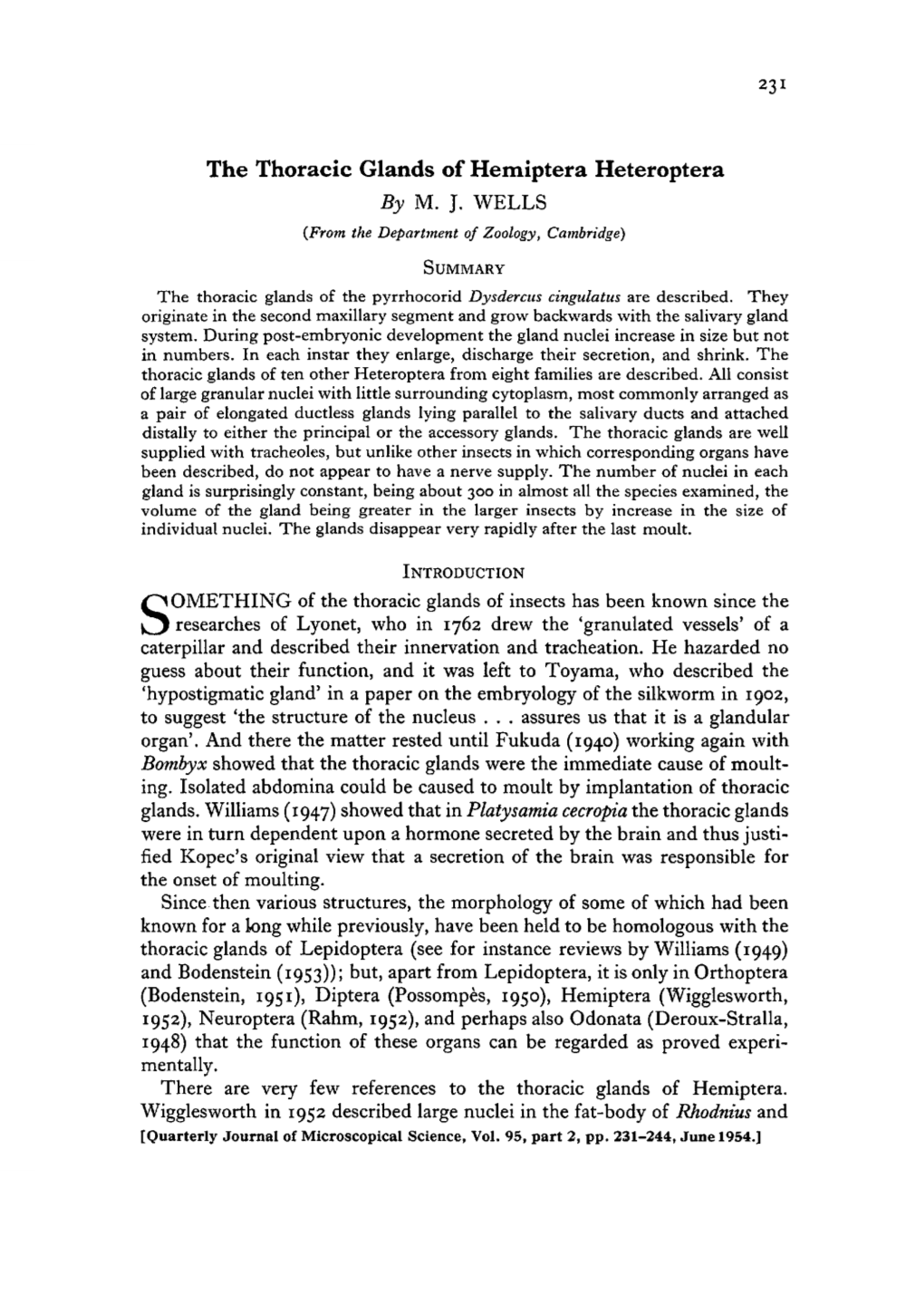 The Thoracic Glands of Hemiptera Heteroptera by M. J. WELLS {From the Department of Zoology, Cambridge)