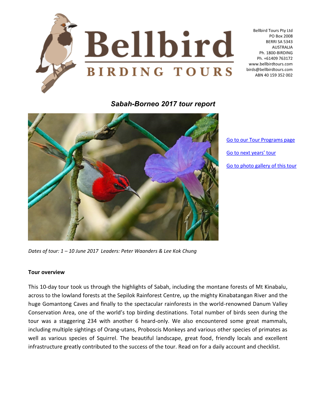 Bellbird Birding Tours