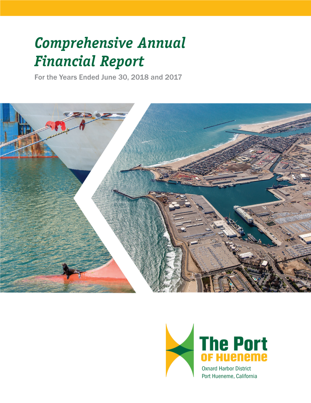 Comprehensive Annual Financial Report for the Years Ended June 30, 2018 and 2017