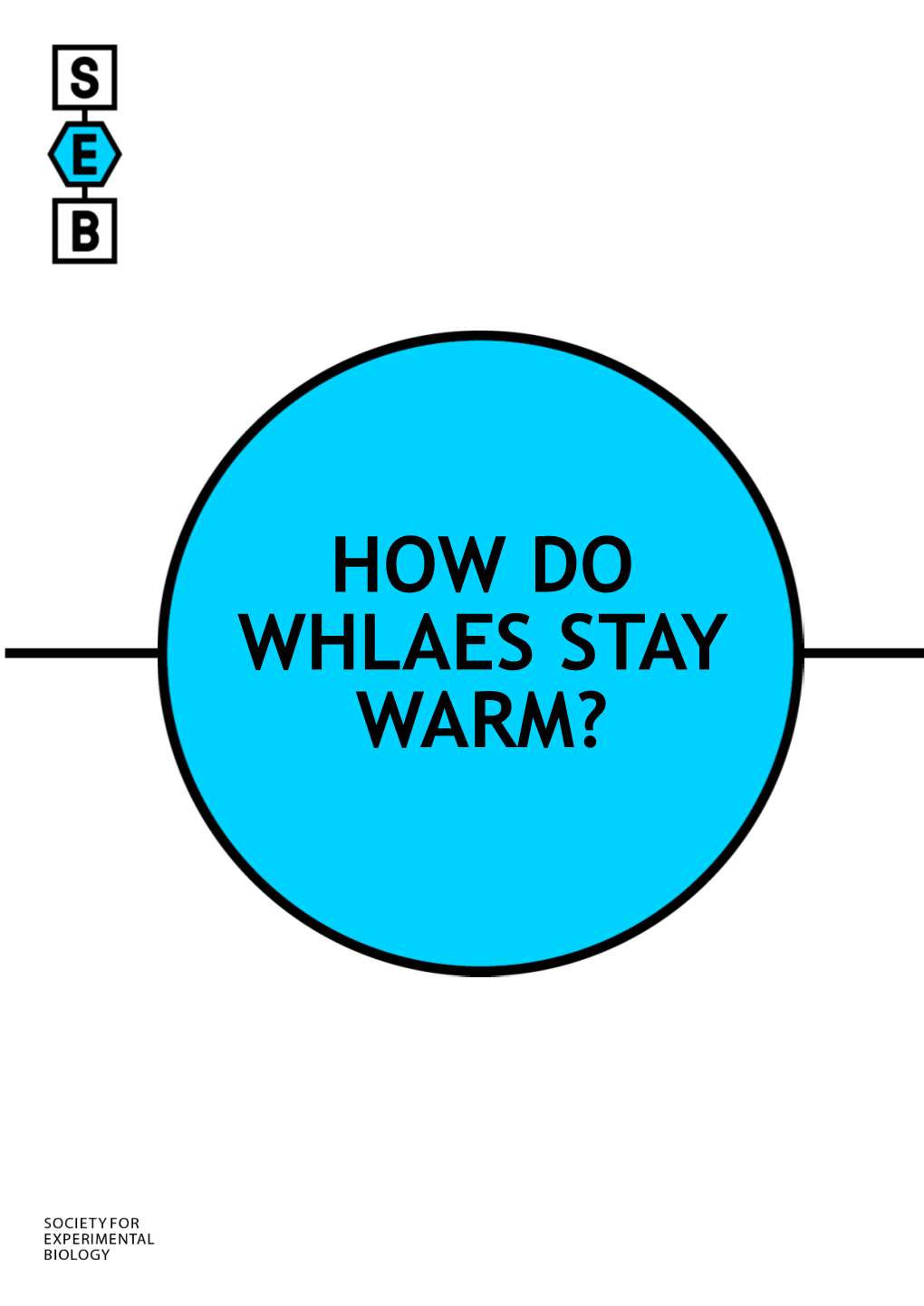 How Do Whlaes Stay Warm?