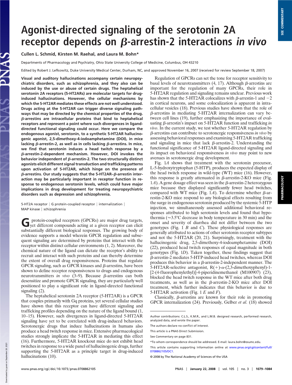 Agonist-Directed Signaling of the Serotonin 2A Receptor Depends On