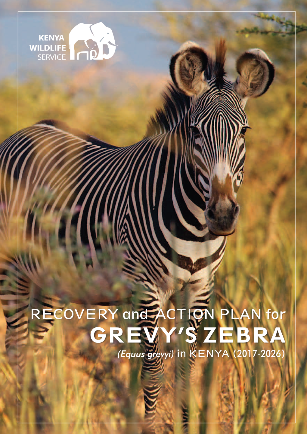 Recovery and Action Plan for Grevy's Zebra