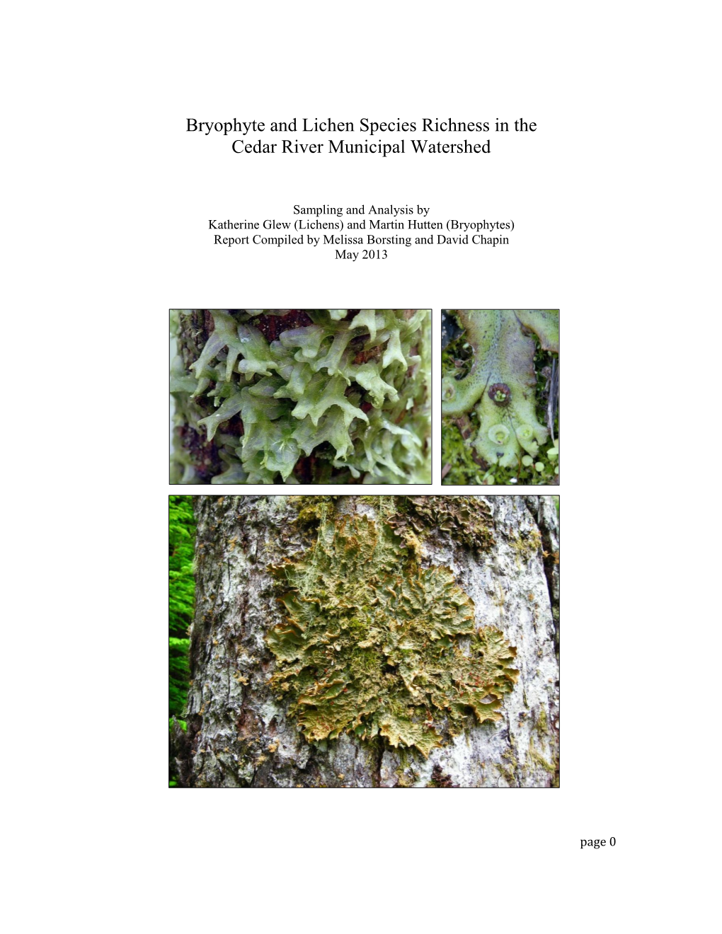 Lichen Report