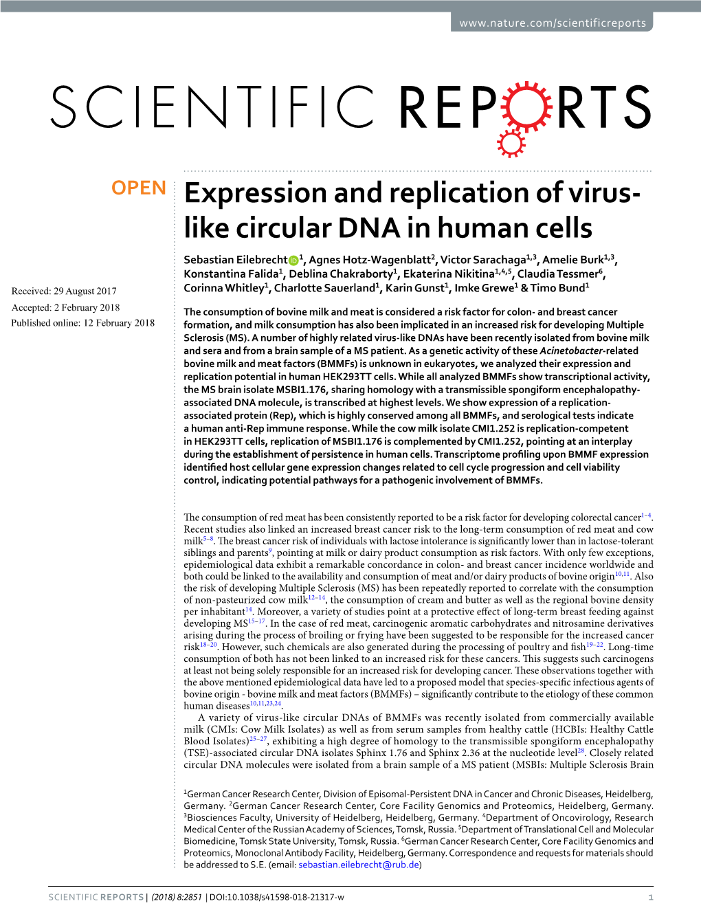 Expression and Replication of Virus-Like Circular DNA in Human Cells