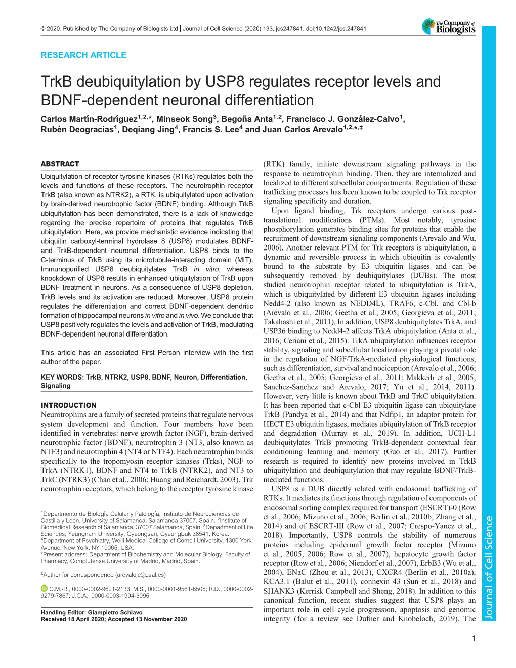 Trkb Deubiquitylation by USP8 Regulates Receptor Levels and BDNF