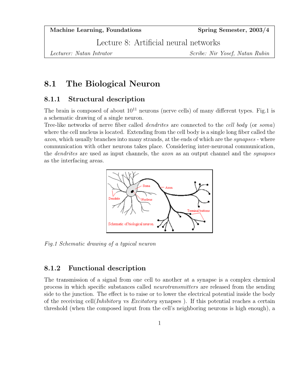 Lecture 8: Artificial Neural Networks 8.1 the Biological Neuron