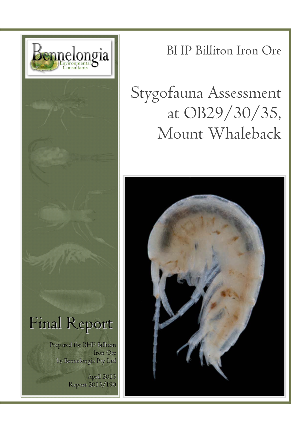 Final Report Stygofauna Assessment at OB29/30/35, Mount Whaleback