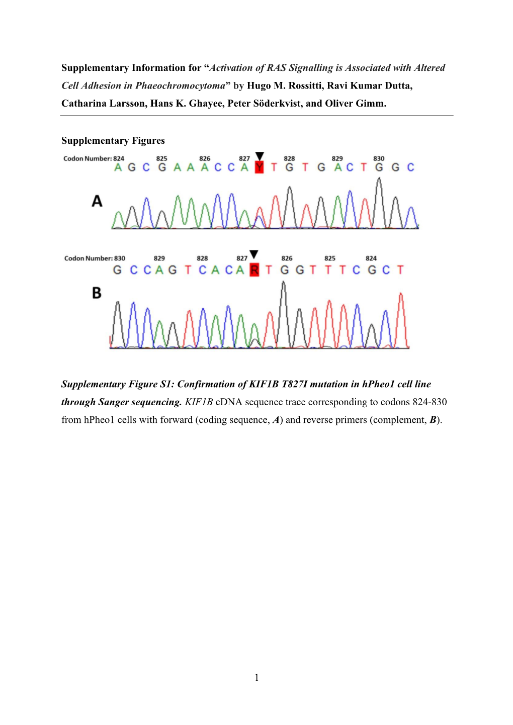 Activation of RAS Signalling Is Associated with Altered Cell Adhesion in Phaeochromocytoma” by Hugo M