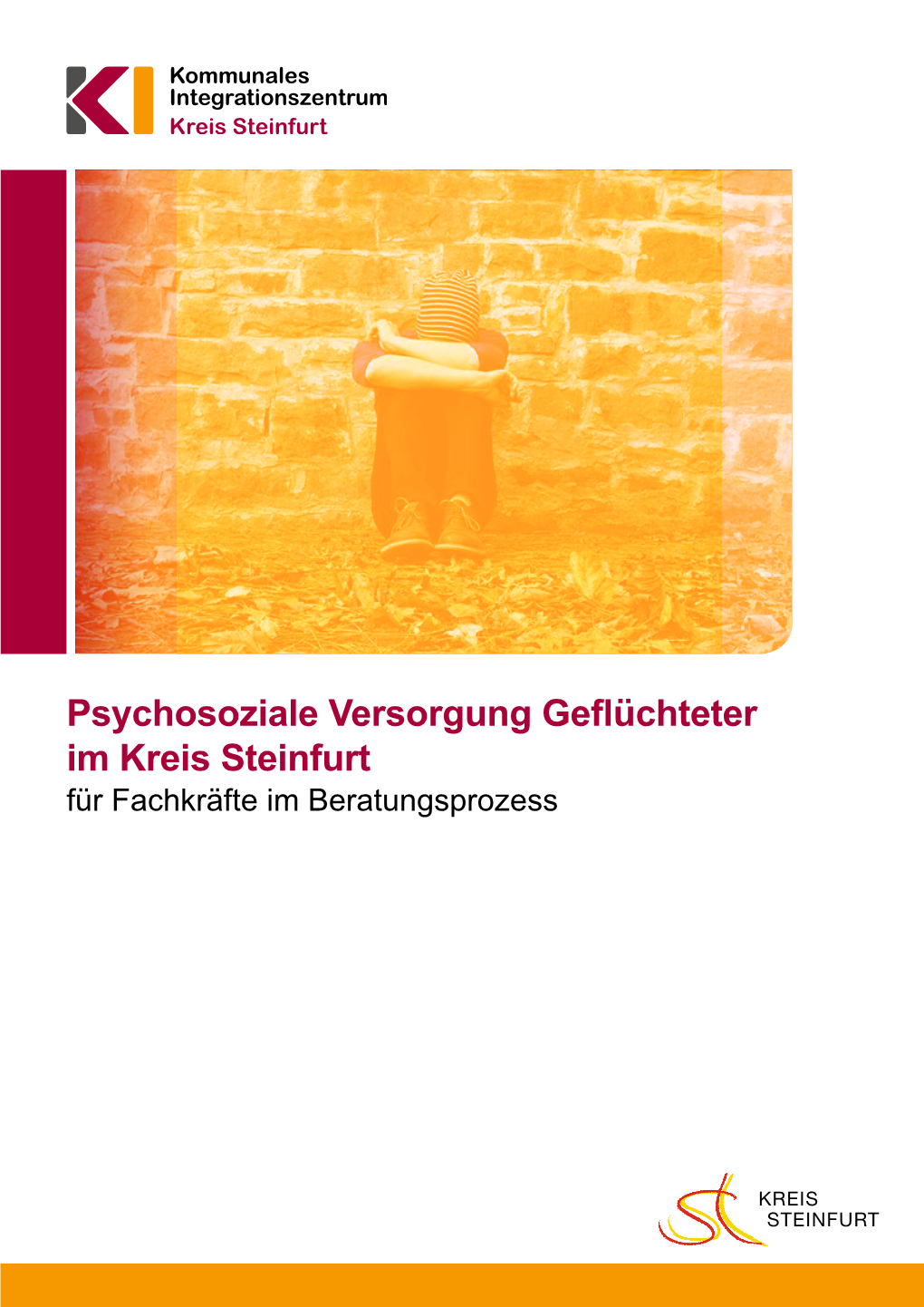 Psychosoziale Versorgung Geflüchteter Im Kreis Steinfurt Für Fachkräfte Im Beratungsprozess Inhalt