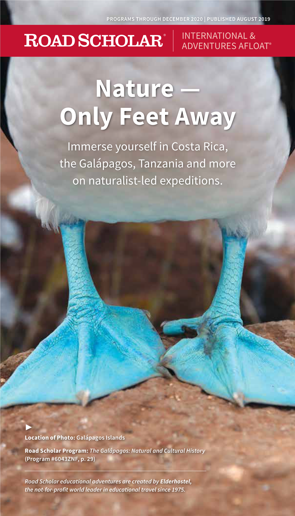 Nature — Only Feet Away Immerse Yourself in Costa Rica, the Galápagos, Tanzania and More on Naturalist-Led Expeditions
