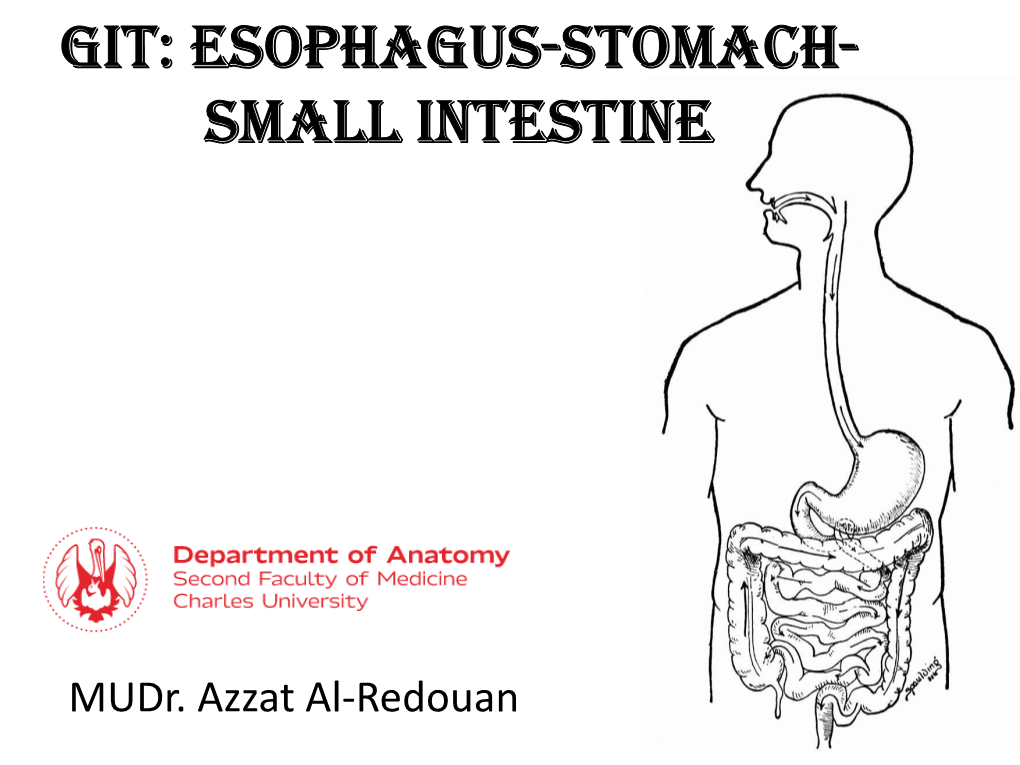 GIT: Esophagus-Stomach- Small Intestine