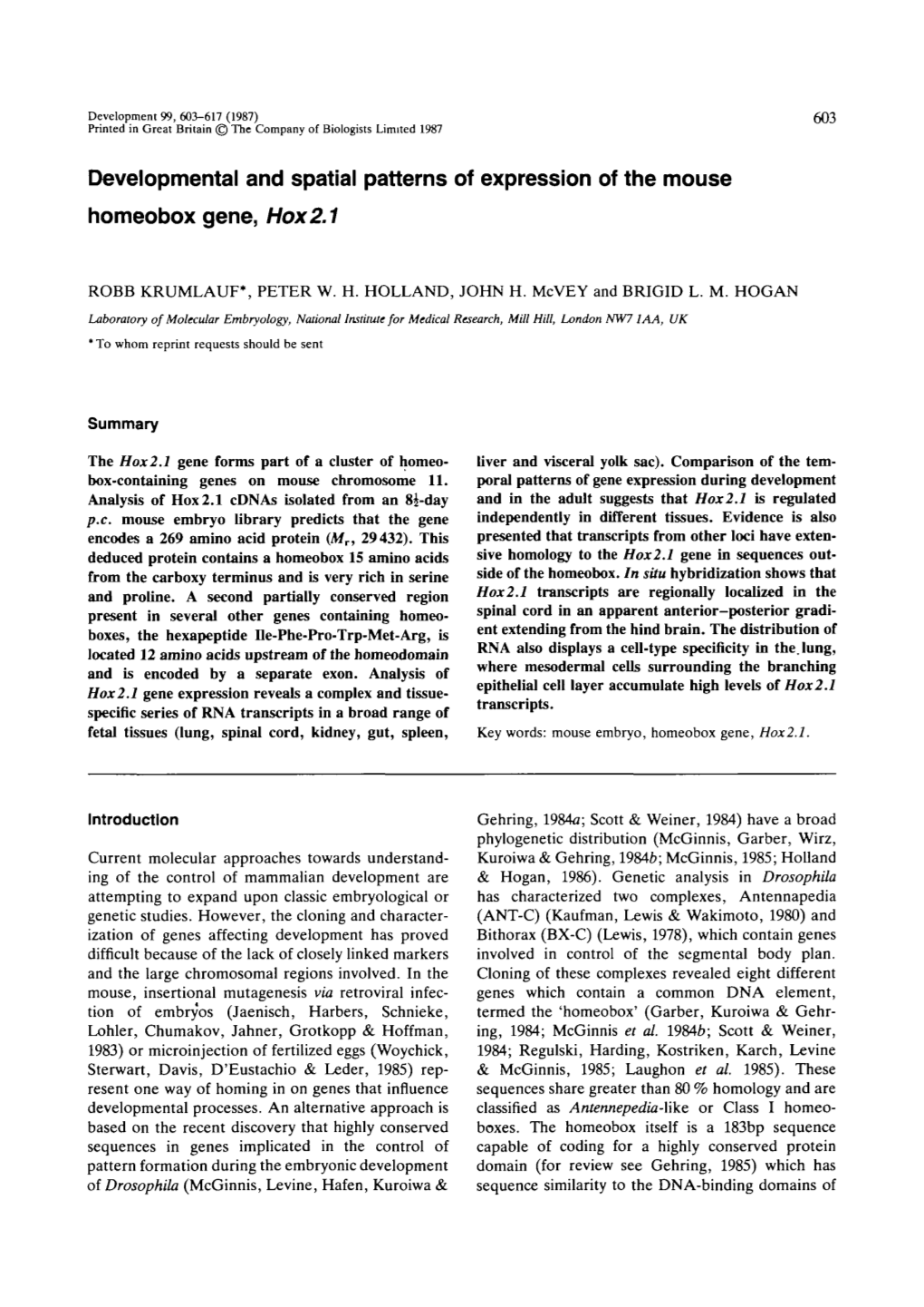 Developmental and Spatial Patterns of Expression of the Mouse Homeobox Gene, Hox2.1