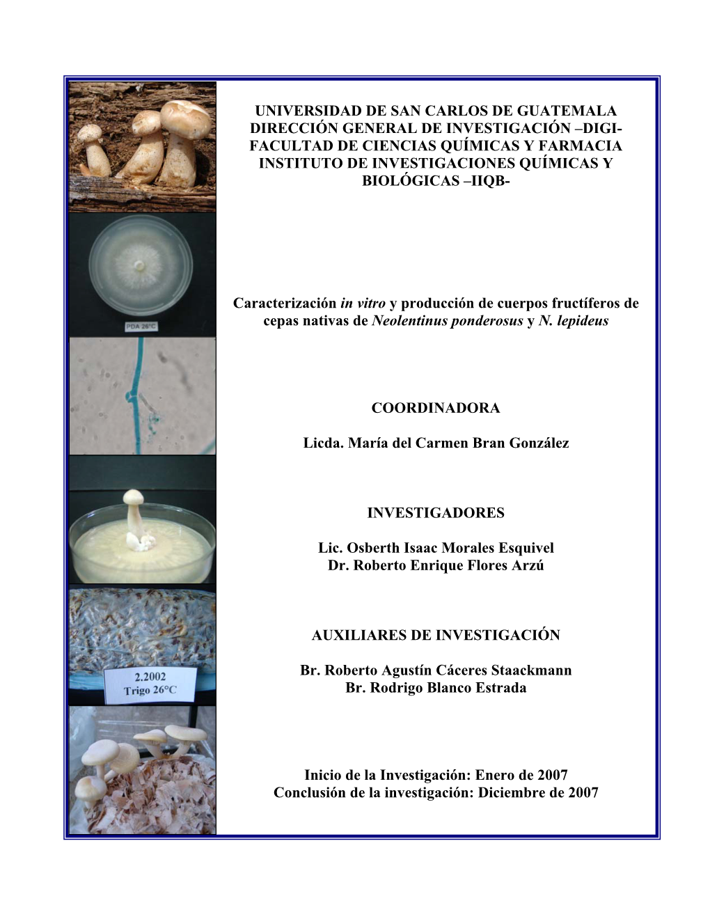 Caracterización in Vitro Y Producción De Cuerpos Fructíferos De Cepas Nativas De Neolentinus Ponderosus Y N