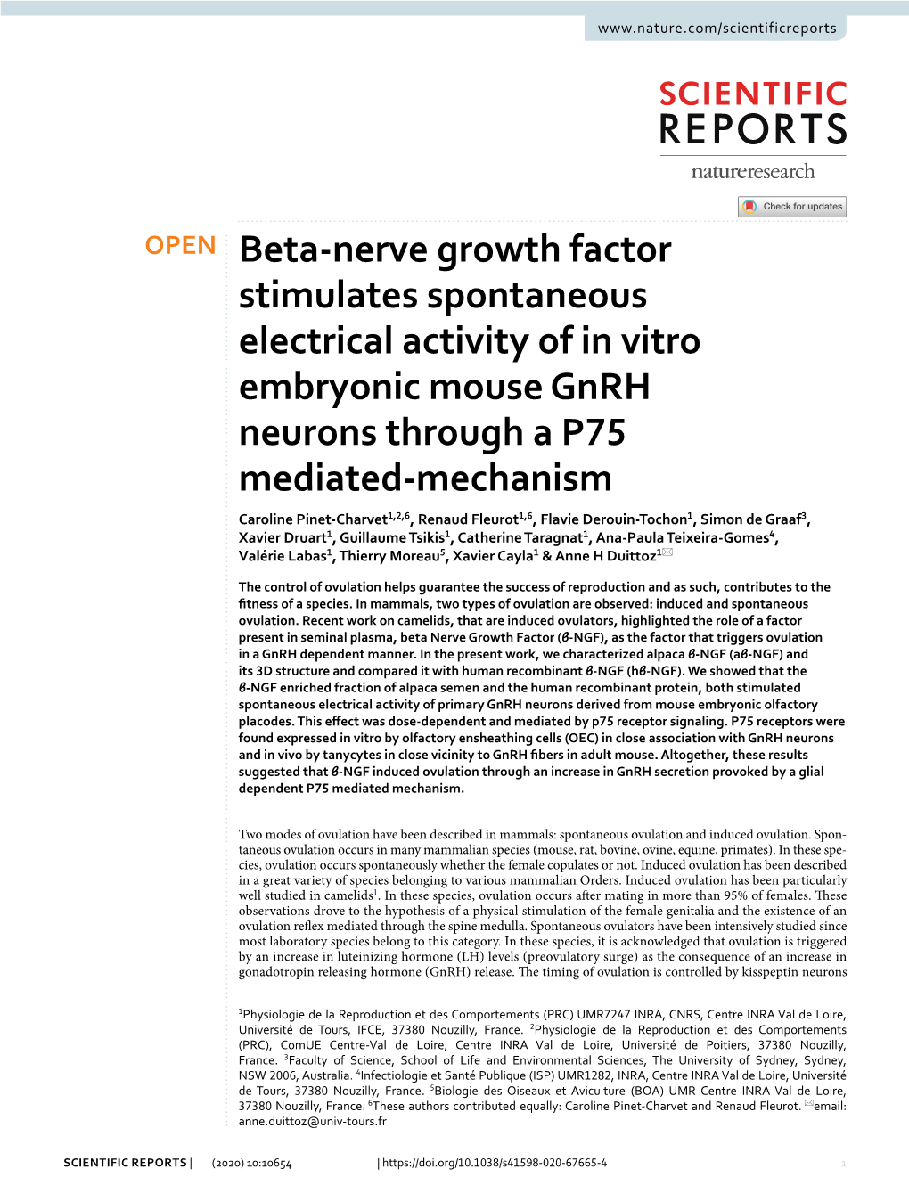 Beta-Nerve Growth Factor Stimulates Spontaneous Electrical Activity of In