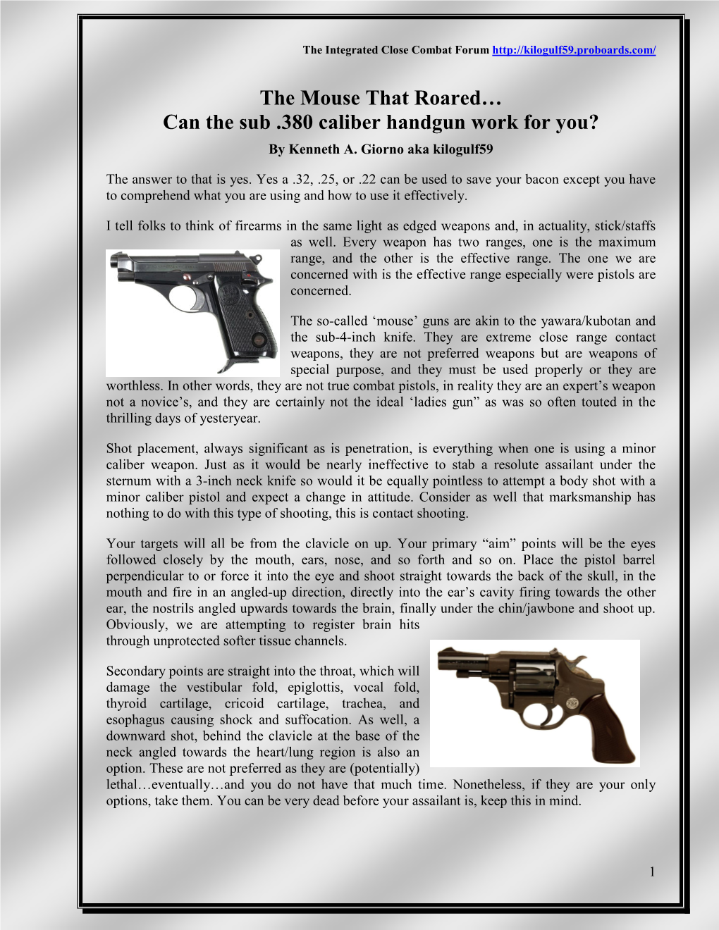 Can the Sub .380 Caliber Handgun Work for You? by Kenneth A