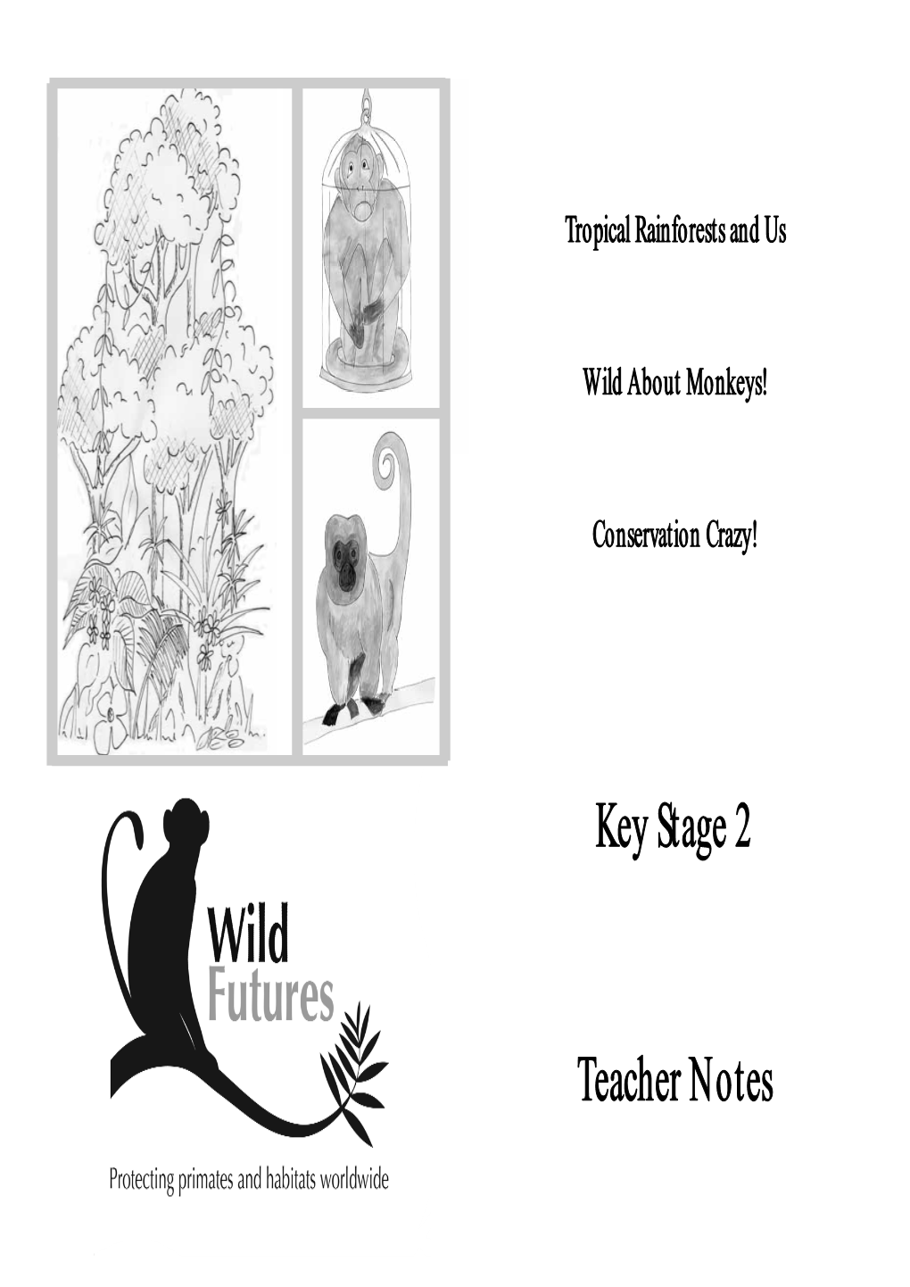 Key Stage 2 Teacher Notes