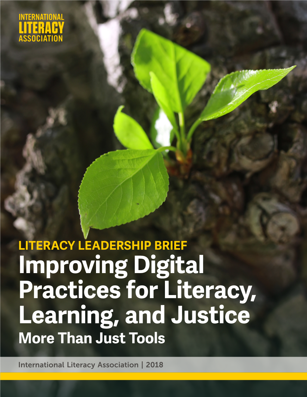 Improving Digital Practices for Literacy, Learning, and Justice More Than Just Tools