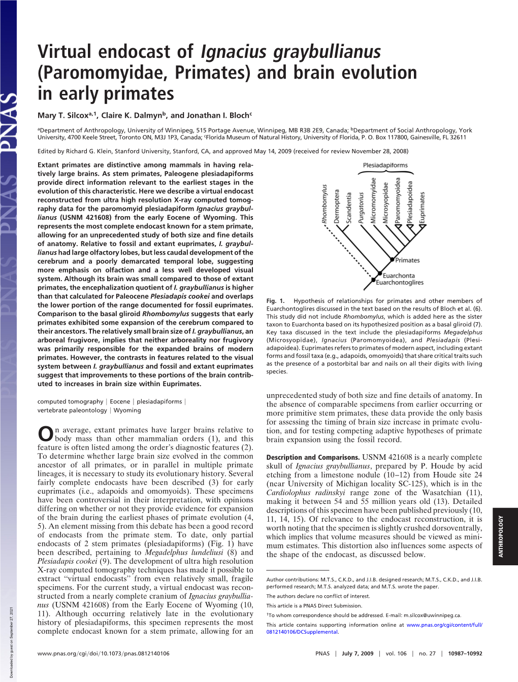 Virtual Endocast of Ignacius Graybullianus (Paromomyidae, Primates) and Brain Evolution in Early Primates