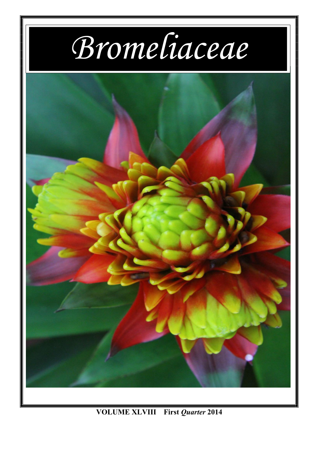 VOLUME XLVIII First Quarter 2014 the Bromeliad Society of Queensland Inc