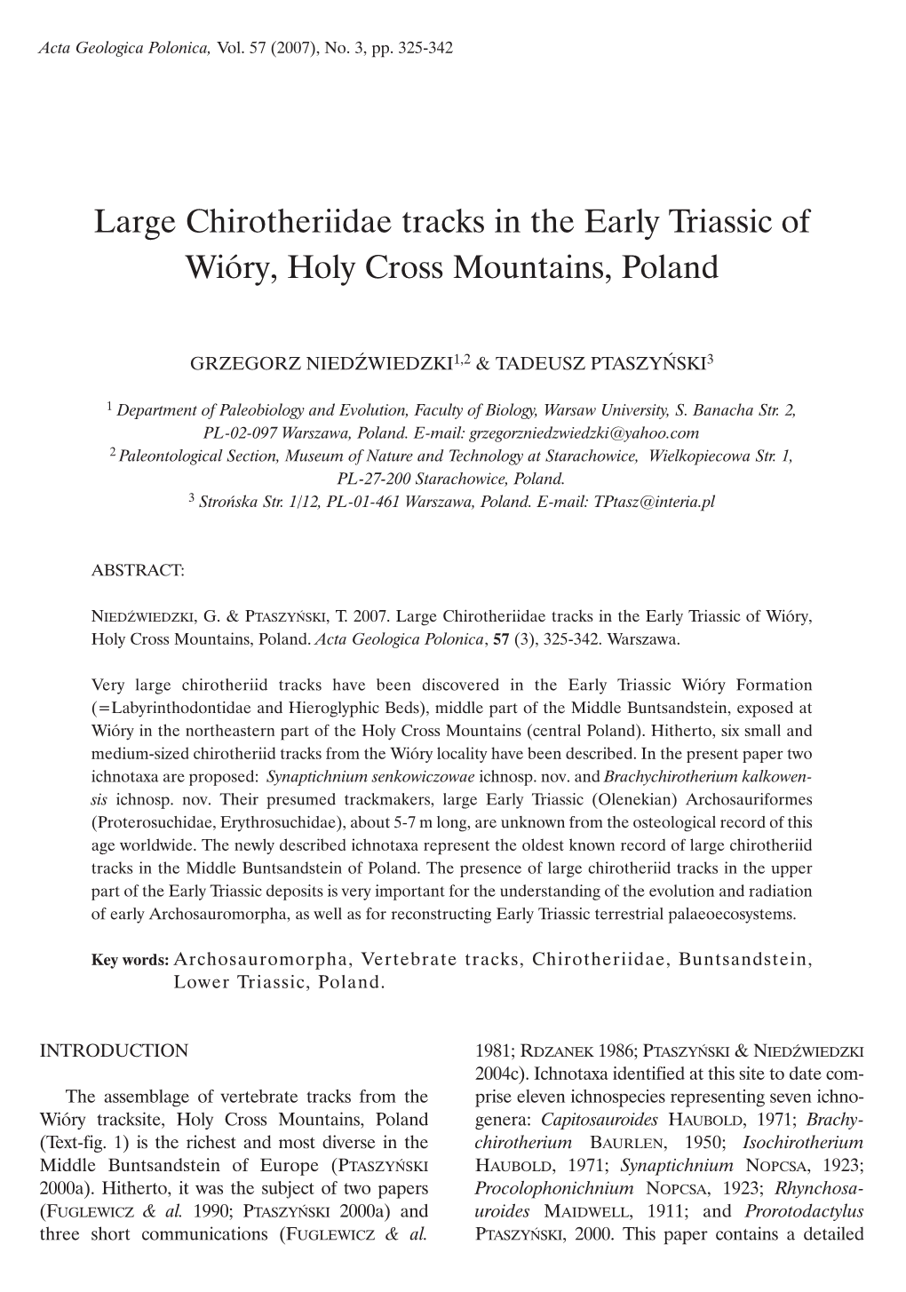 Large Chirotheriidae Tracks in the Early Triassic of Wióry, Holy Cross Mountains, Poland