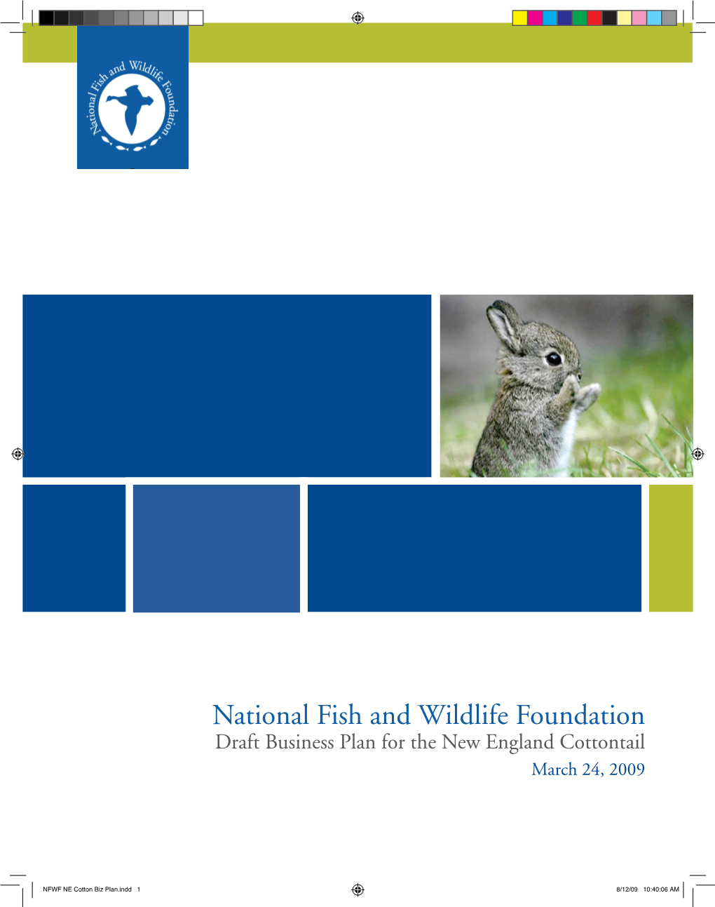 National Fish and Wildlife Foundation Draft Business Plan for the New England Cottontail March 24, 2009