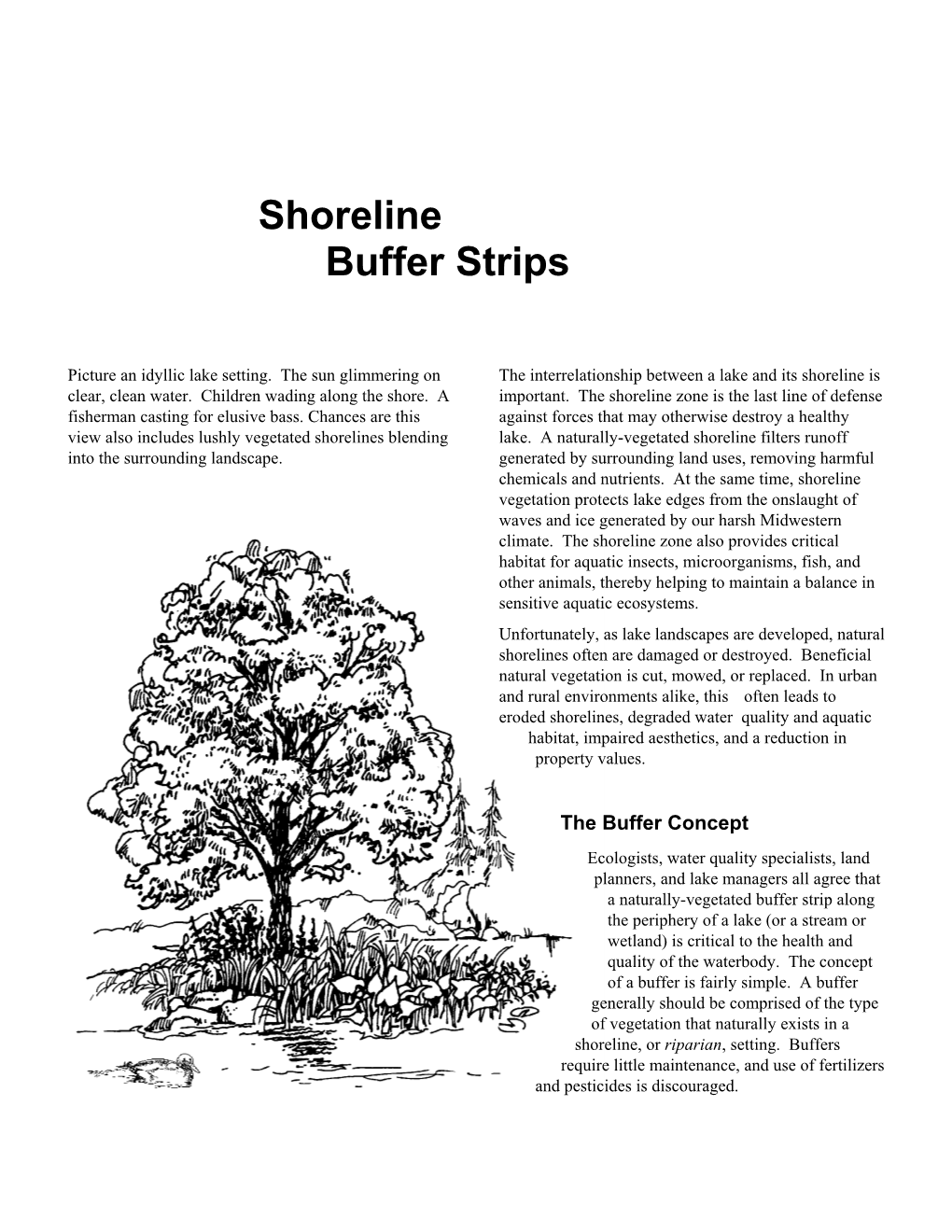 Shoreline Buffer Strips Lake Notes