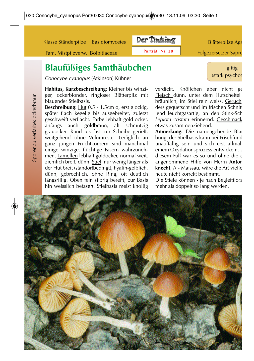 Conocybe Cyanopus Por30 13.11.09 03:30 Seite 1