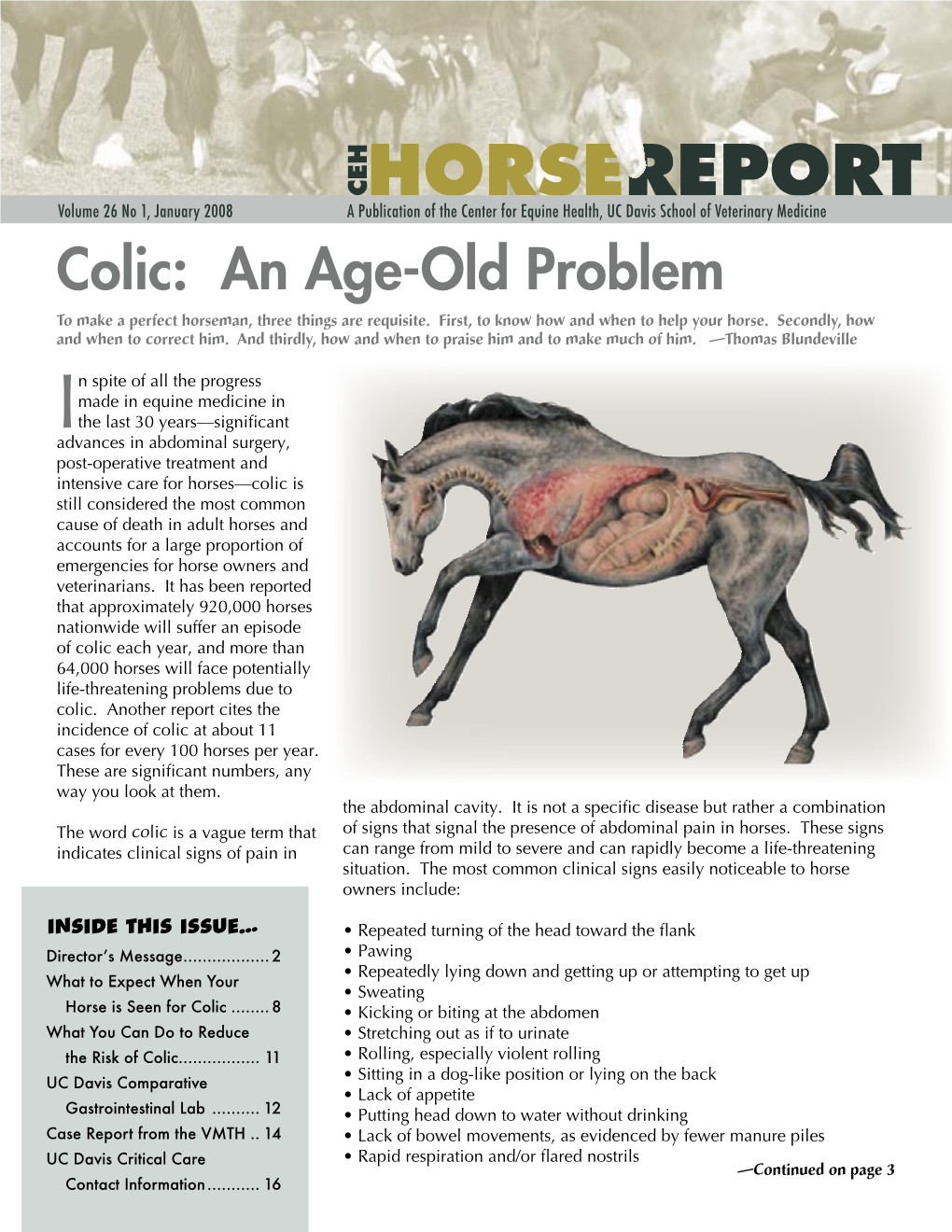 Colic in Horses