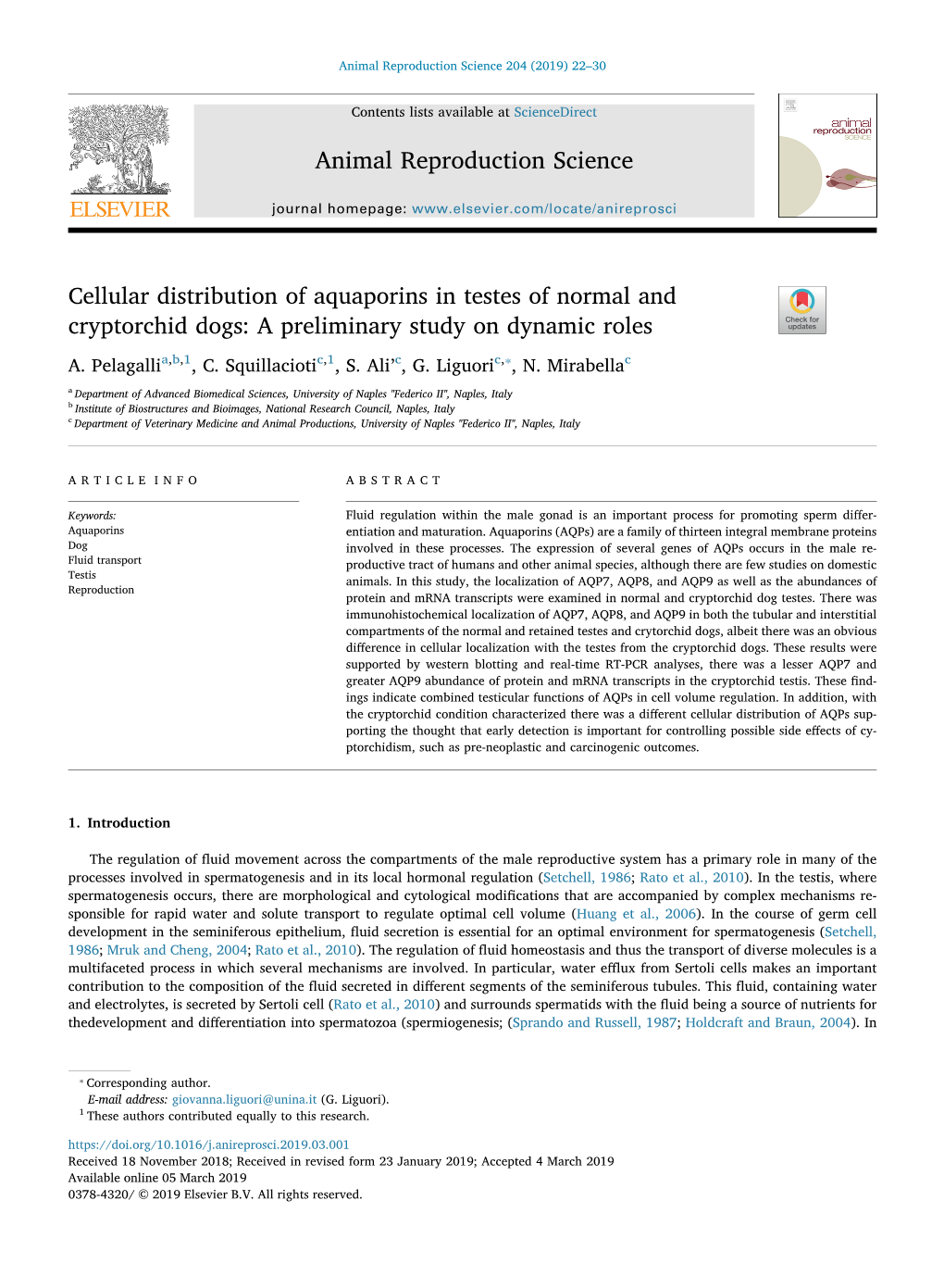 Cellular Distribution of Aquaporins in Testes of Normal and Cryptorchid Dogs: a Preliminary Study on Dynamic Roles T ⁎ A