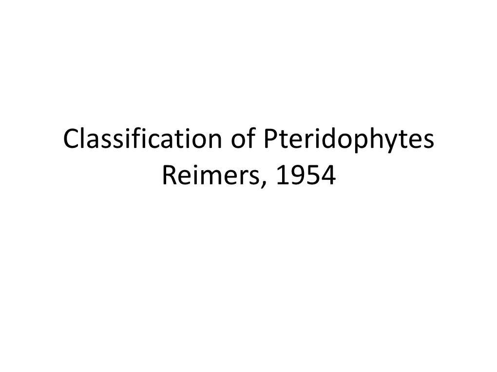 Classification of Pteridophytes Reimers, 1954