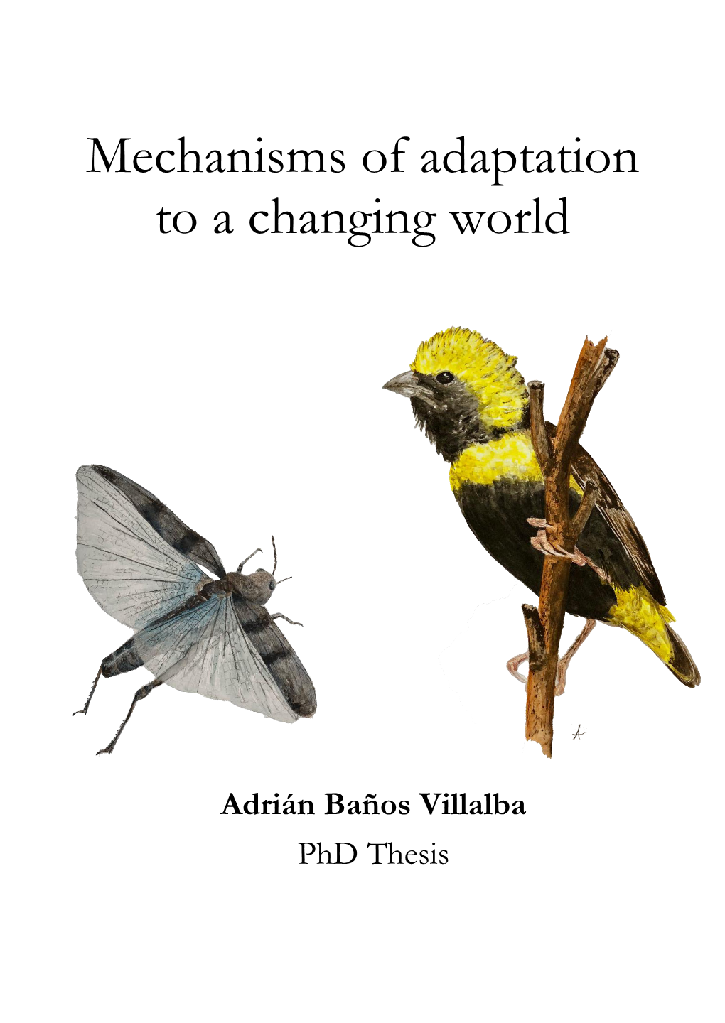 Mechanisms of Adaptation to a Changing World