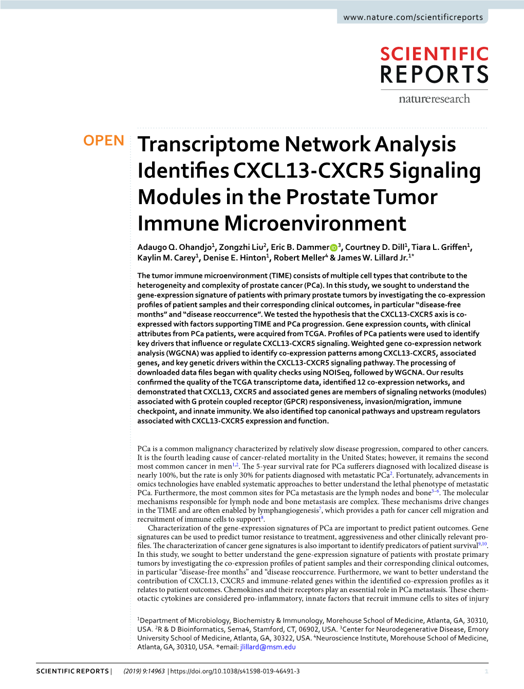 Transcriptome Network Analysis Identifies CXCL13-CXCR5 Signaling Modules in the Prostate Tumor Immune Microenvironment