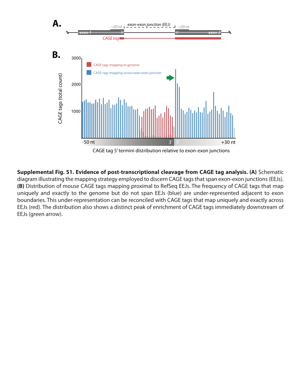 Supplemental Fig. S1. Evidence of Post-Transcriptional Cleavage from CAGE Tag Analysis