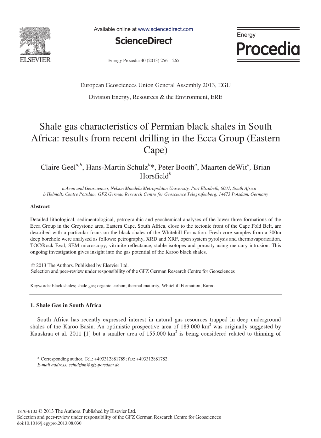 Shale Gas Characteristics of Permian Black Shales in South Africa: Results from Recent Drilling in the Ecca Group (Eastern Cape)