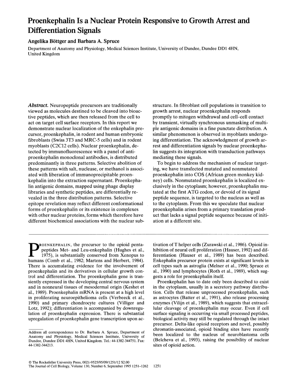 Proenkephalin Is a Nuclear Protein Responsive to Growth Arrest and Differentiation Signals Angelika Biittger and Barbara A