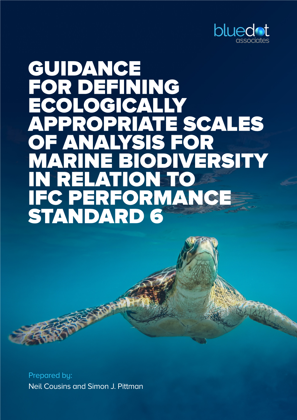 Guidance for Defining Ecologically Appropriate Scales of Analysis for Marine Biodiversity in Relation to Ifc Performance Standard 6