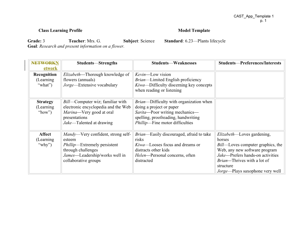 Class Learning Profile Model Template