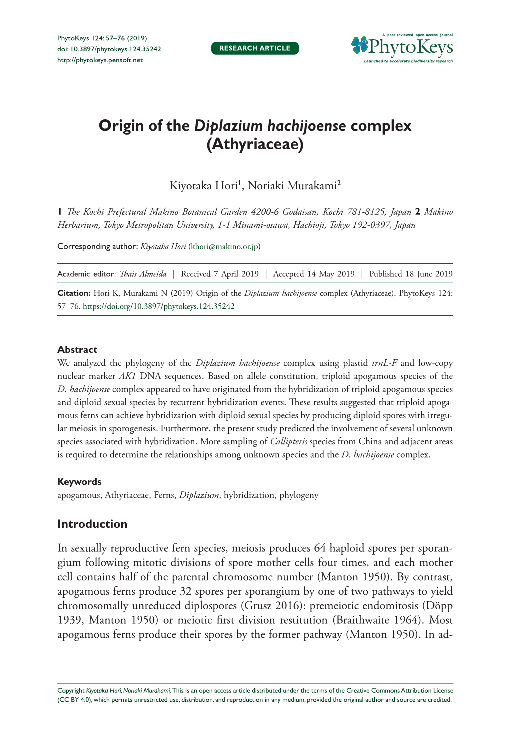 Origin of the Diplazium Hachijoense Complex (Athyriaceae)