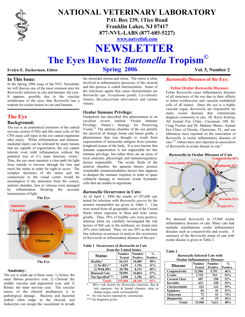 NEWSLETTER the Eyes Have It: Bartonella Tropism© Evelyn E