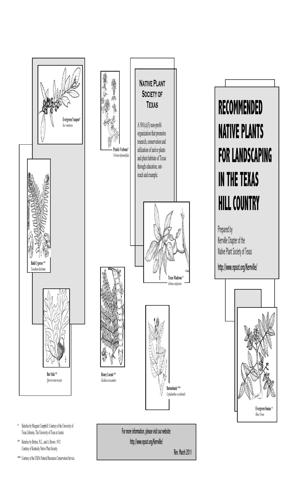 RECOMMENDED NATIVE PLANTS for LANDSCAPING in the TEXAS HILL COUNTRY Prepared by the Kerrville Chapter of the Native Plant Society of Texas