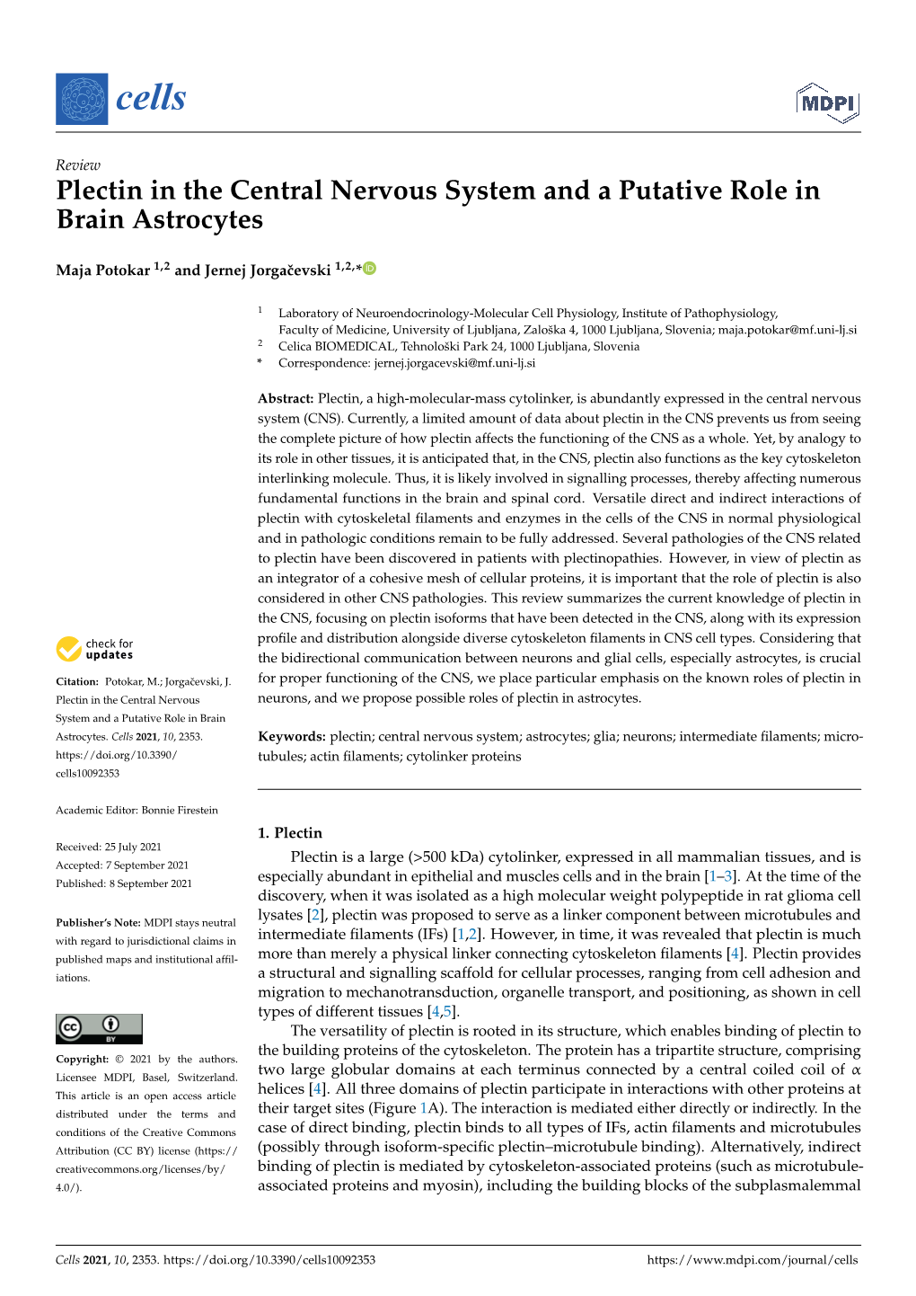 Plectin in the Central Nervous System and a Putative Role in Brain Astrocytes
