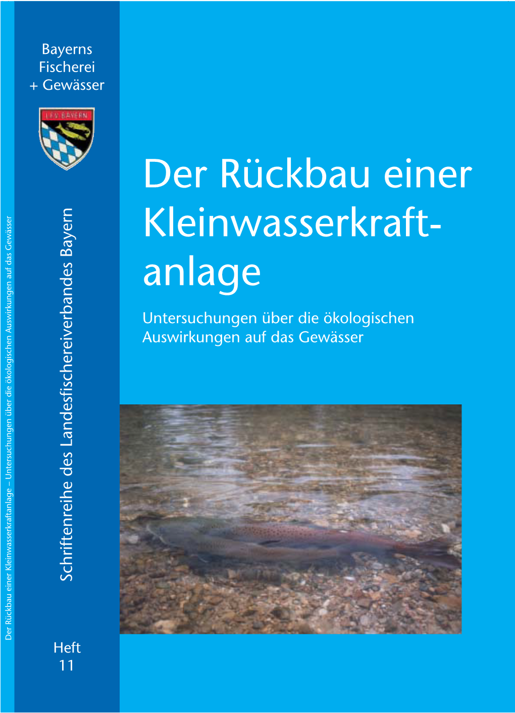 Der Rückbau Einer Kleinwasserkraft- Anlage