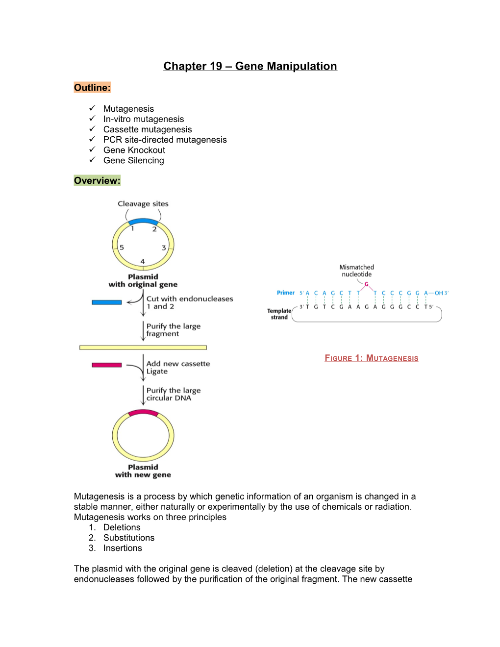 Chapter 11 Protein Characterization