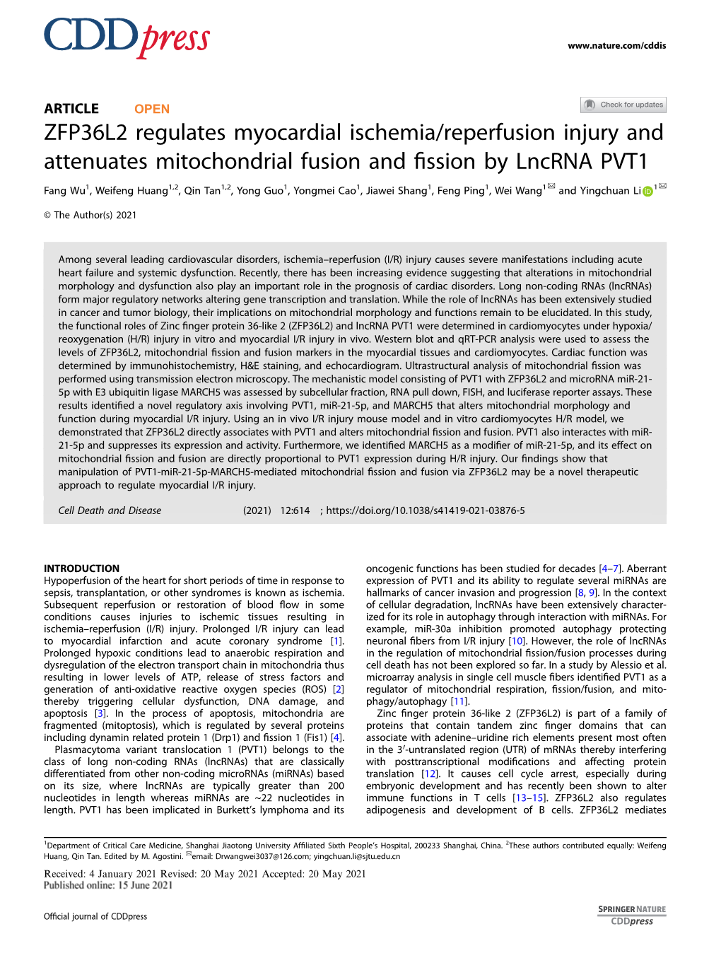 ZFP36L2 Regulates Myocardial Ischemia/Reperfusion Injury And