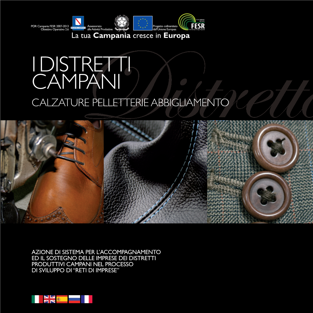 I Distretti Campani – Calzature, Pelletterie, Abbigliamento