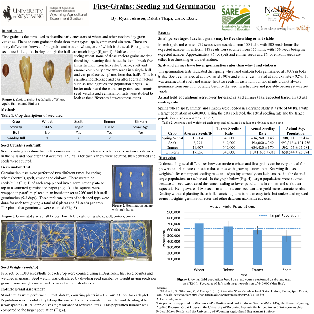 First-Grains: Seeding and Germination