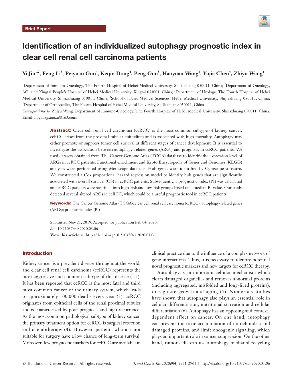 Identification of an Individualized Autophagy Prognostic Index in Clear Cell Renal Cell Carcinoma Patients