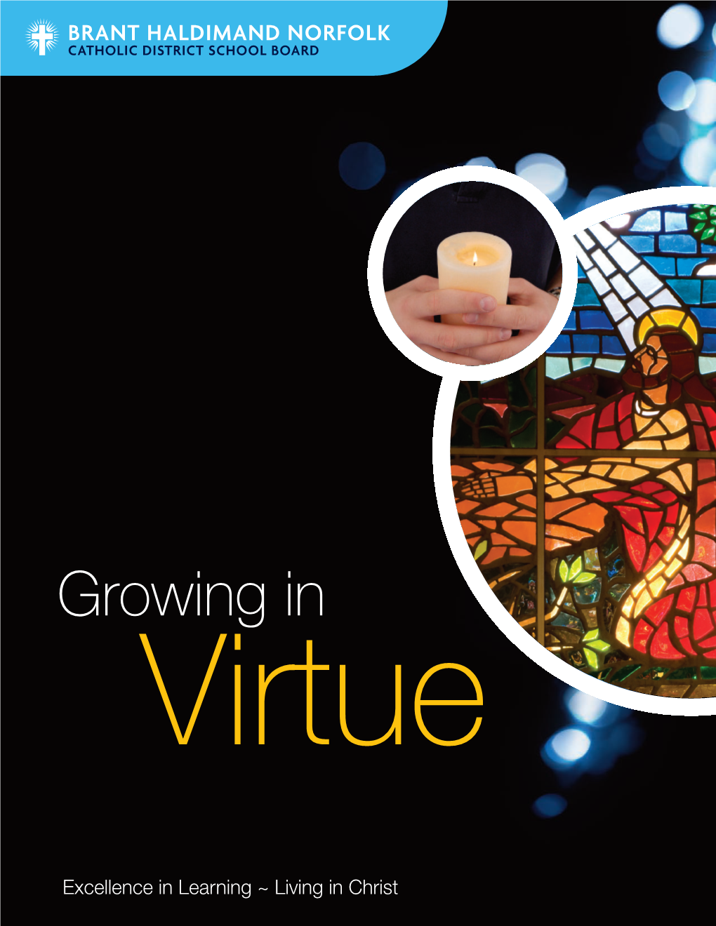 Growing in Virtue