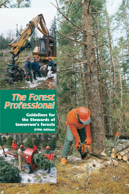 The Forest Professional